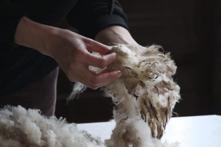 La lana no es algodón: por qué dos fibras naturales necesitan cuidados diferentes