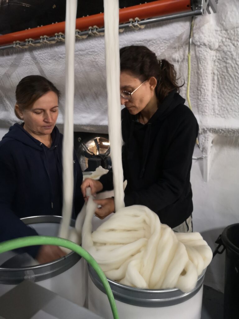 Proceso de trabajo con lana en el taller artesano de dLana